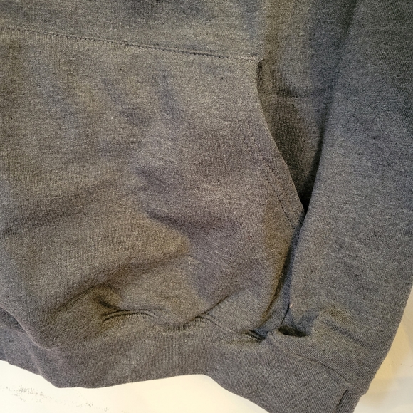 CHAMPION hoodie sweatshirt NWT size small GREY RARE - Picture 3 of 8